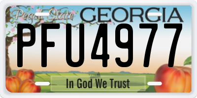GA license plate PFU4977