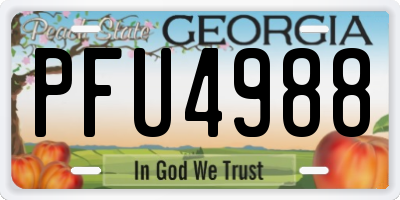 GA license plate PFU4988