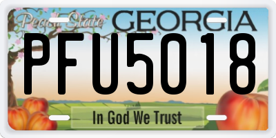 GA license plate PFU5018
