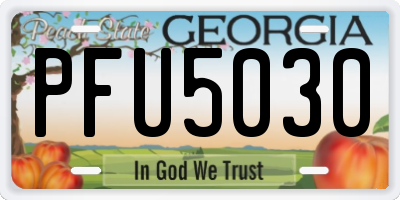 GA license plate PFU5030