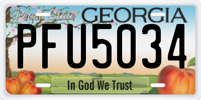 GA license plate PFU5034