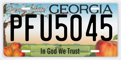 GA license plate PFU5045