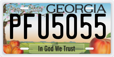 GA license plate PFU5055