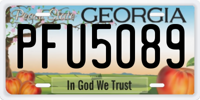 GA license plate PFU5089