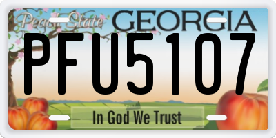 GA license plate PFU5107