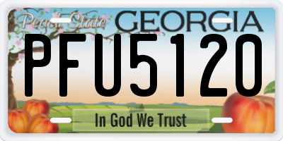 GA license plate PFU5120