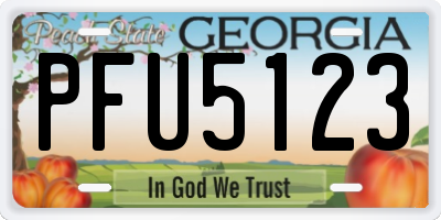 GA license plate PFU5123