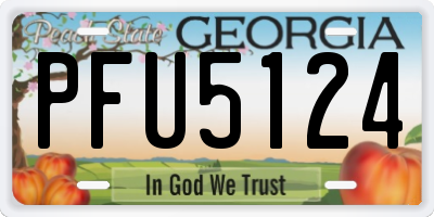 GA license plate PFU5124