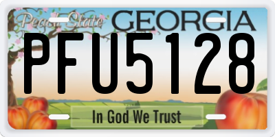 GA license plate PFU5128