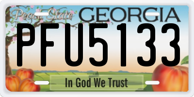 GA license plate PFU5133