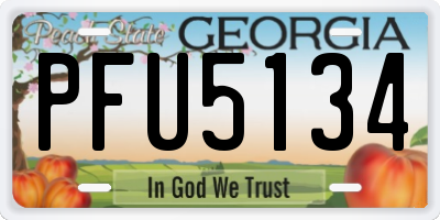 GA license plate PFU5134