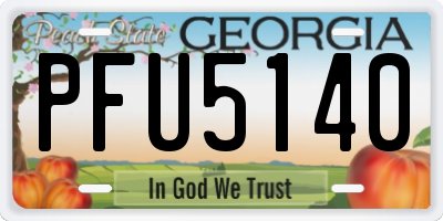 GA license plate PFU5140