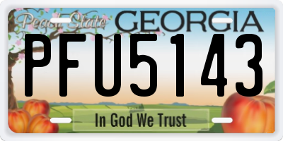 GA license plate PFU5143