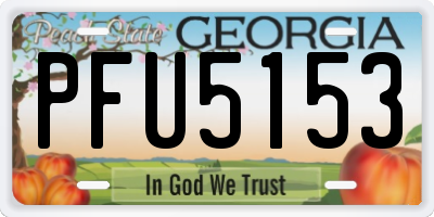 GA license plate PFU5153