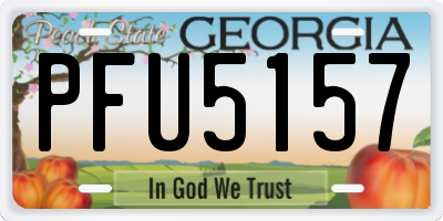 GA license plate PFU5157
