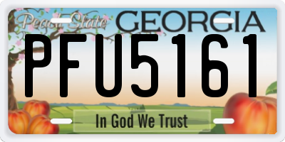 GA license plate PFU5161