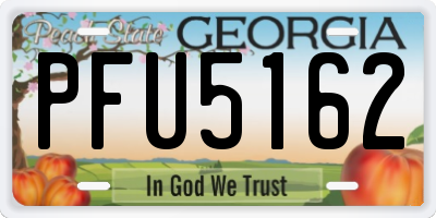 GA license plate PFU5162