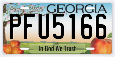 GA license plate PFU5166