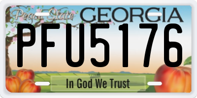 GA license plate PFU5176