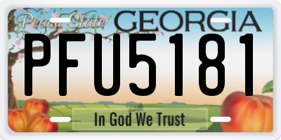 GA license plate PFU5181