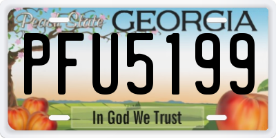 GA license plate PFU5199