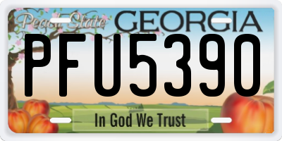 GA license plate PFU5390