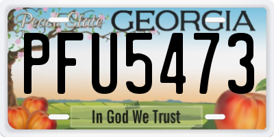 GA license plate PFU5473