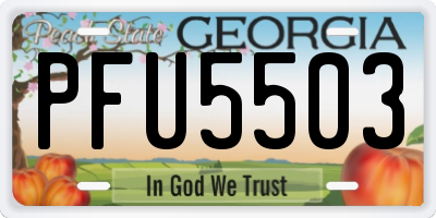 GA license plate PFU5503