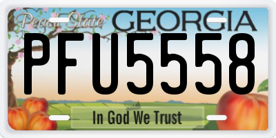 GA license plate PFU5558