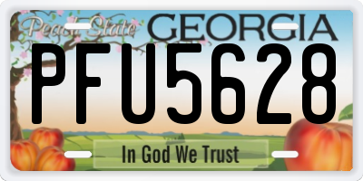 GA license plate PFU5628