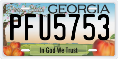 GA license plate PFU5753