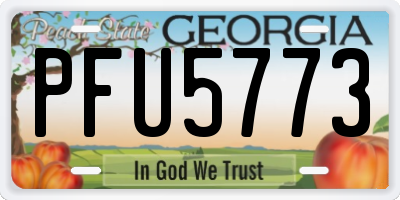 GA license plate PFU5773