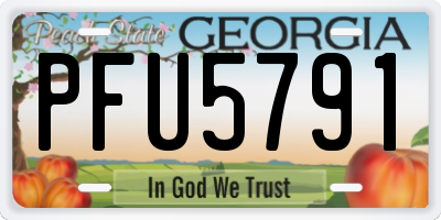 GA license plate PFU5791