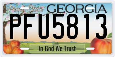 GA license plate PFU5813
