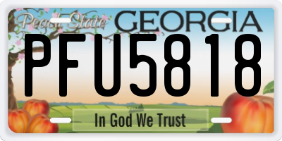 GA license plate PFU5818