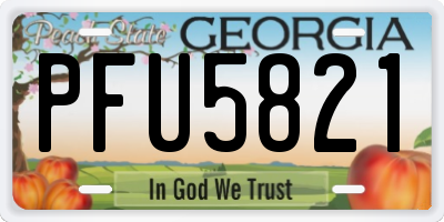 GA license plate PFU5821