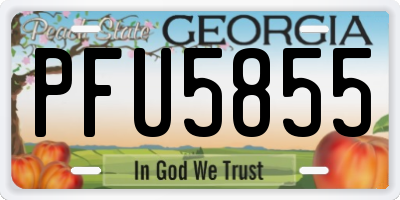 GA license plate PFU5855