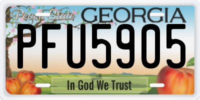 GA license plate PFU5905