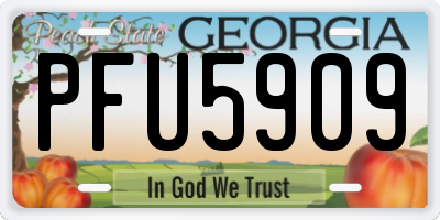 GA license plate PFU5909