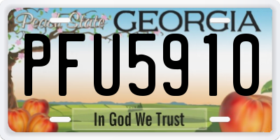 GA license plate PFU5910