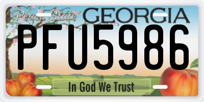 GA license plate PFU5986