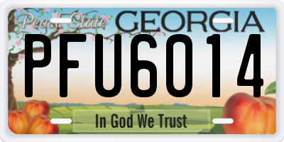 GA license plate PFU6014