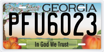 GA license plate PFU6023