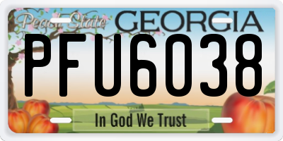 GA license plate PFU6038