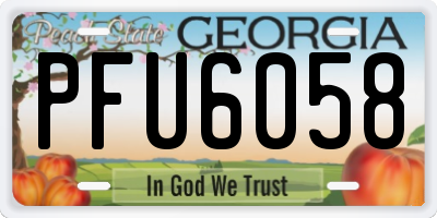 GA license plate PFU6058