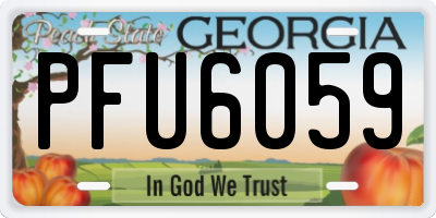 GA license plate PFU6059