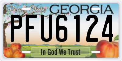 GA license plate PFU6124
