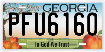 GA license plate PFU6160