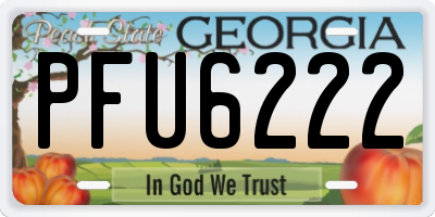 GA license plate PFU6222