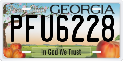 GA license plate PFU6228